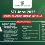 STI Jobs 2025